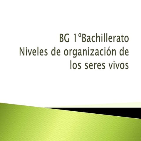 1BACH. Organización de los seres vivos