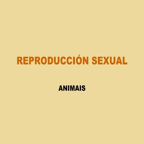 1º bac reproducción animais