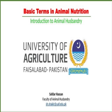 1_Basic Terms in Animal Nutrition.pptxwwwwwwwwwwwww