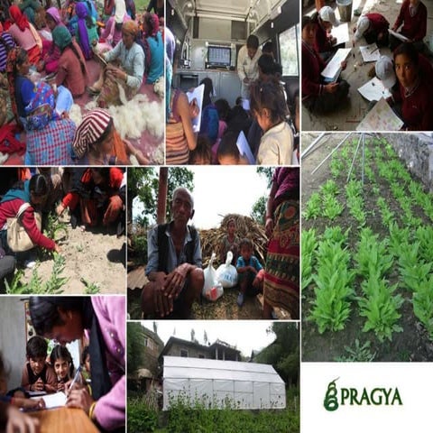 Introduction to Pragya