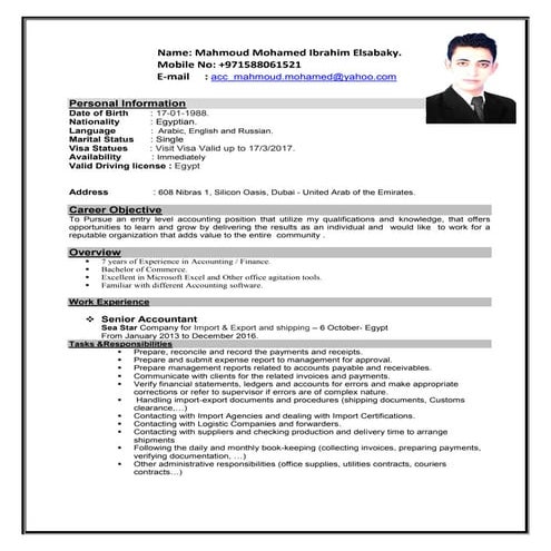 Mahmoud al sabaky- Senior Accountant   C.v