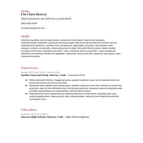 UpdatedResume71616 | PDF