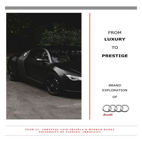 Audi Brand Awareness Study, Customer Experience Identification, and Analysis