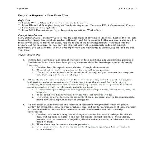 1 b essay  3 stone butch blues 