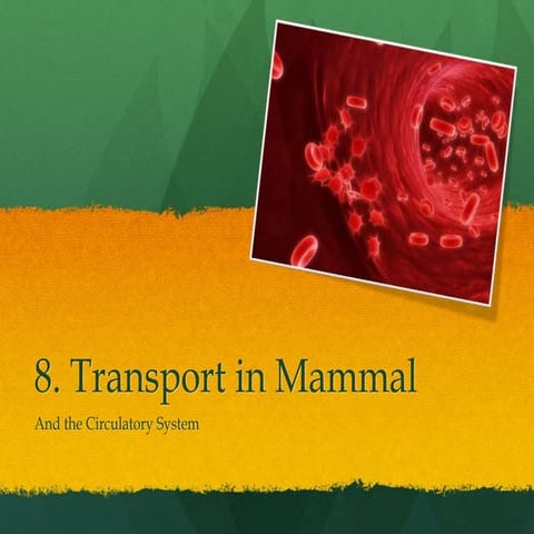 AS Level Biology - 8) Transport in Mammals