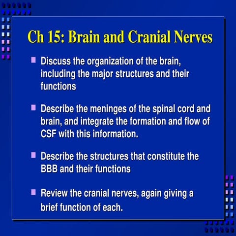 Comprehensive Overview of Brain Anatomy and Cranial Nerves Functions | PPT
