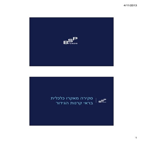 M and A Leaders Forum April 2013- BSP Funds