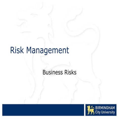 1 business risks