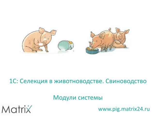1C. Cвиноводство - описание модулей