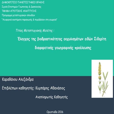 power_point_karathanou