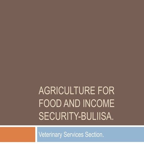 Agriculture for Food and Income Security-Buliisa