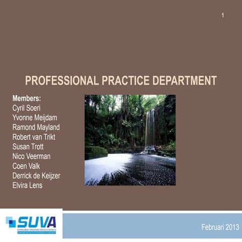 PPD overzicht activiteiten 2012