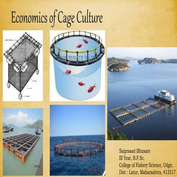 Cage Economics