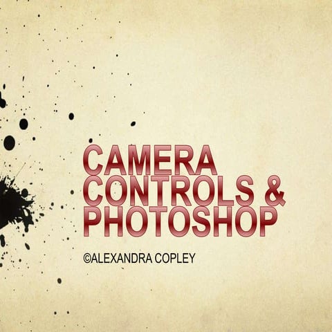 Camera Controls And Photoshop