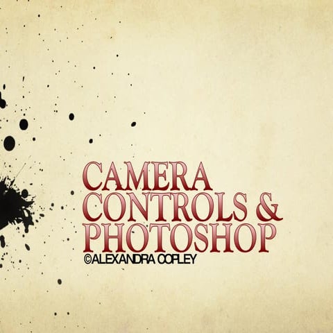 Camera Controls And Photoshop