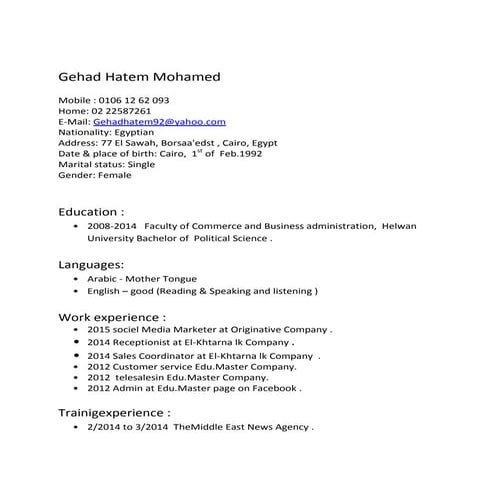 My CV - English | PDF