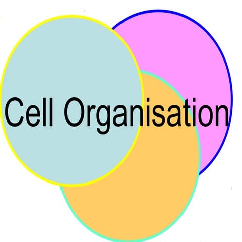 CHAPTER 2: CELL ORGANISATION