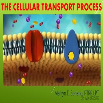 CELL TRANSPORT PROCESS
