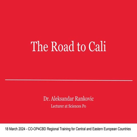 The Road to Cali. Dr. Aleksandar Rankovic