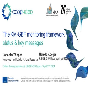 The KM-GBF monitoring framework –status & key messages. Joachim Töpper and Ha...