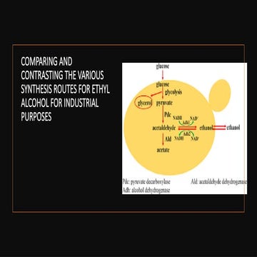 1COMPARING AND CONTRASTING THE VARIOUS SYNTHESIS ROUTES FOR ETHYL ALCOHOL FOR INDUSTRIAL PURPOSES.pptx