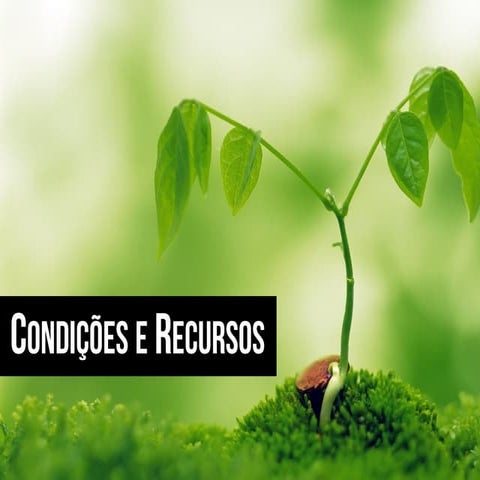 Sobre condições e recursos | PDF