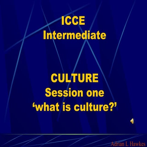 1 culture  'what is culture'