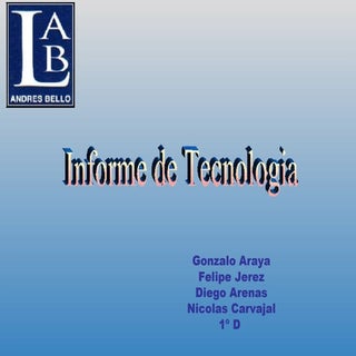 1ºD Informe