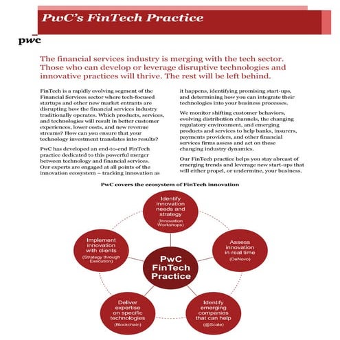 FinTech Overview Brochure (1) | PDF