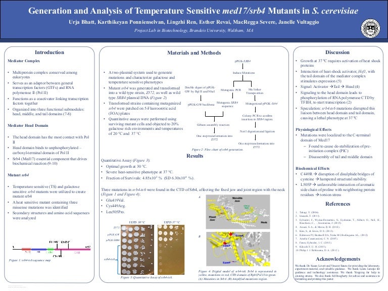 Module 3- Poster Presentation