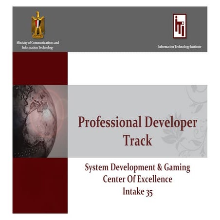 Intake_35_Professional_Developer_Track_SD | PDF