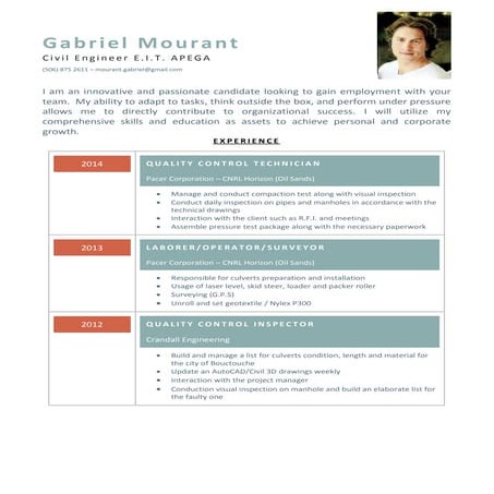 Amr Shaalan Architect & AEC Technologist Resume | PDF