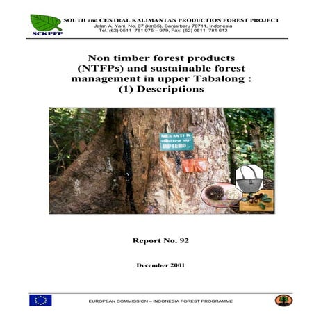 REP092 Non timber forest products - SFM Tabalong (1), J Payn | PDF