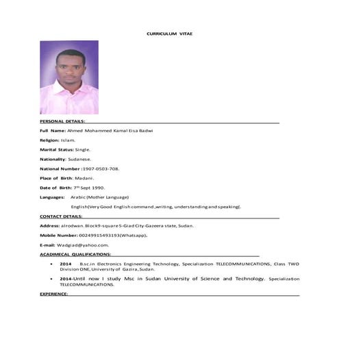 CV Salim 2015 | DOCX