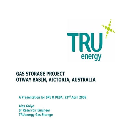 TRUenergy Gas Storage SPE Presentation | PDF