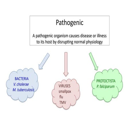 AS Level Biology - 10/11) Infectious Diseases and Immunity | PPTX