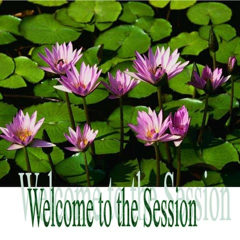 Designing Training Program.pptx27