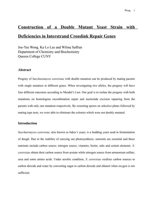 2009_Fall_3913_research_paper_12_17