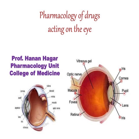 1) drugs acting on the eye of humans.ppt
