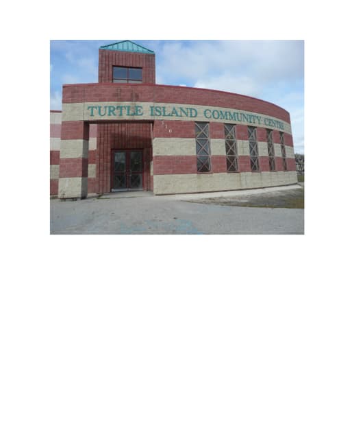 Turtle Island community building initiatives