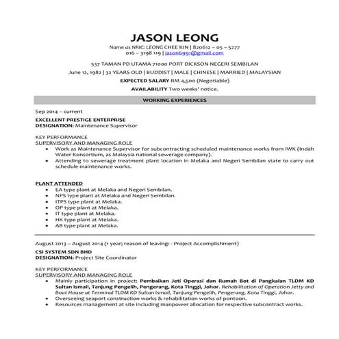 Jason Leong CV 2014 | PDF