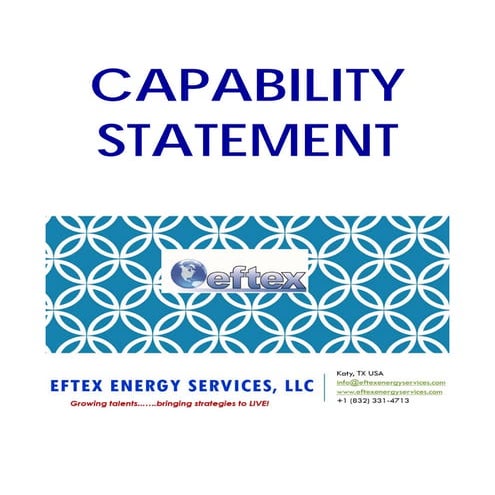 Tiger Capabilities | PPT