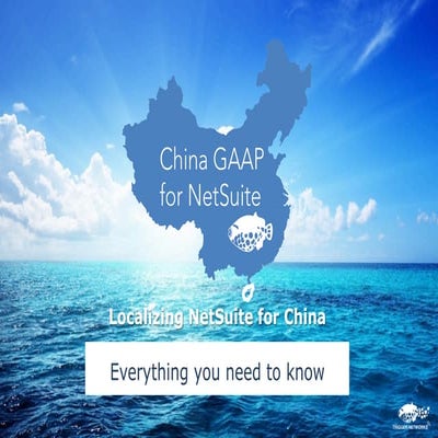 China GAAP white paper