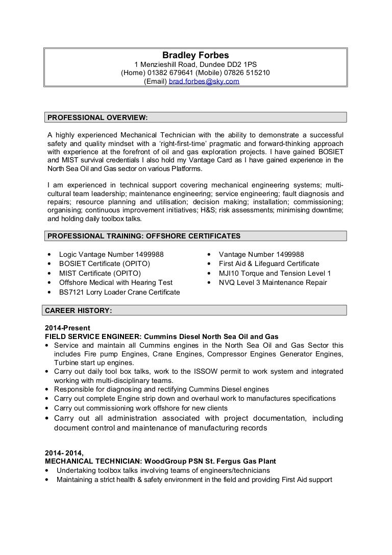 Curriculum vitae examples pdf picture
