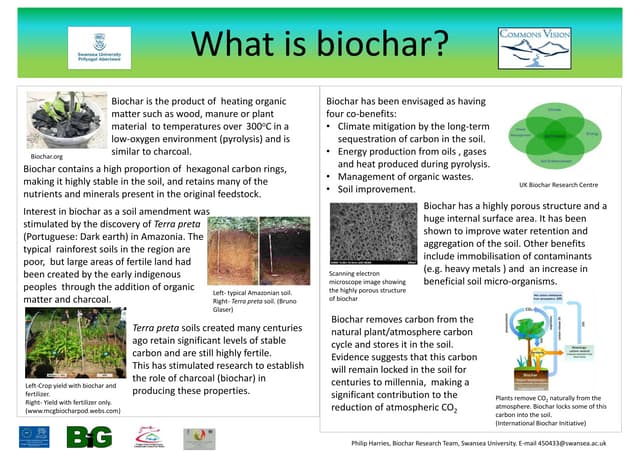 Biochar: Important Role In Agriculture | PPTX