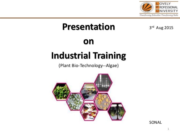 industrial-training-ppt