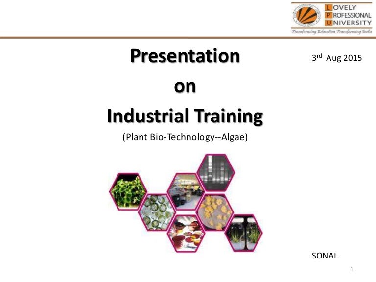 industrial training presentation ppt