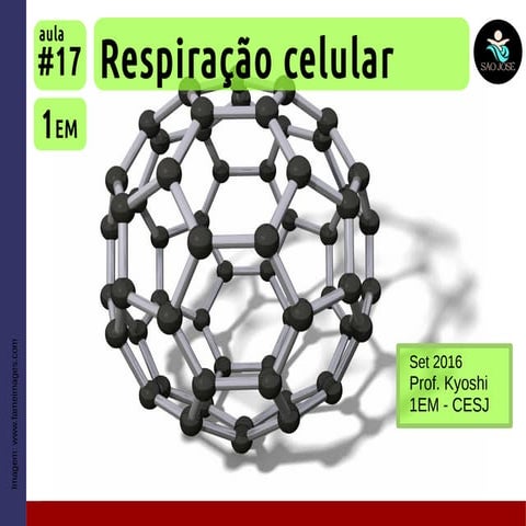 Respiracao celular | PDF