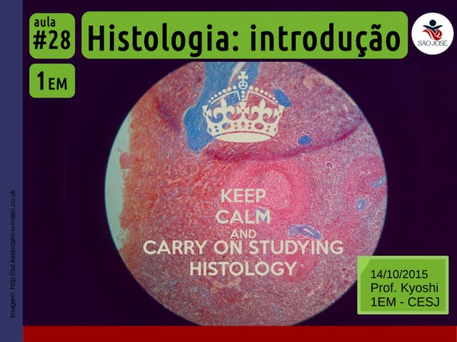 1EM #28 Histologia: introdução