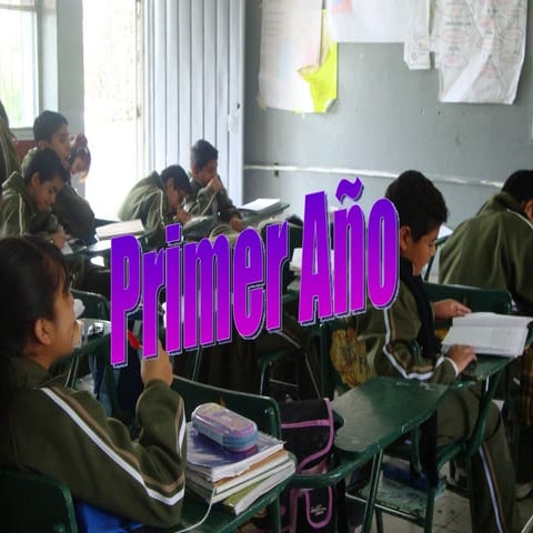 ACTIVIDAD II (PRIMER AÑO)